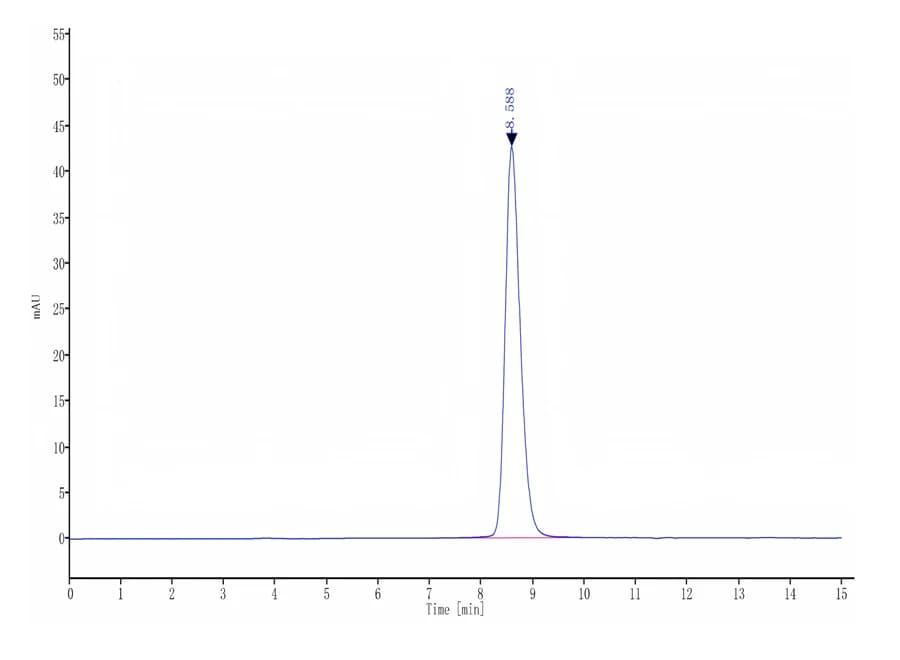 SEC-HPLC Data