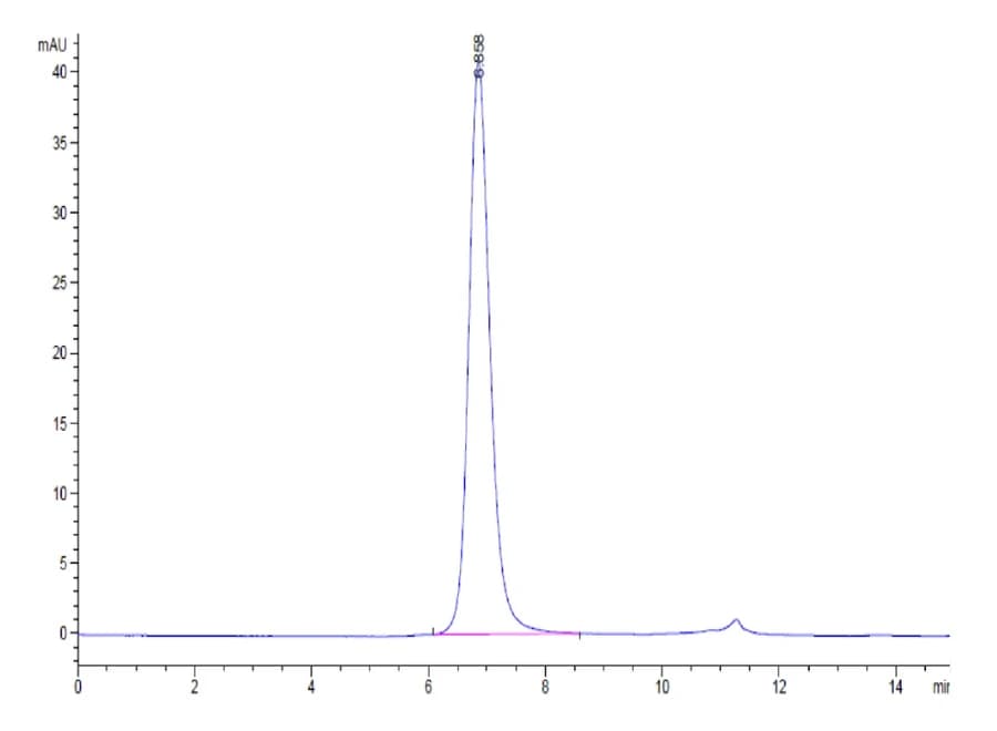 SEC-HPLC Data