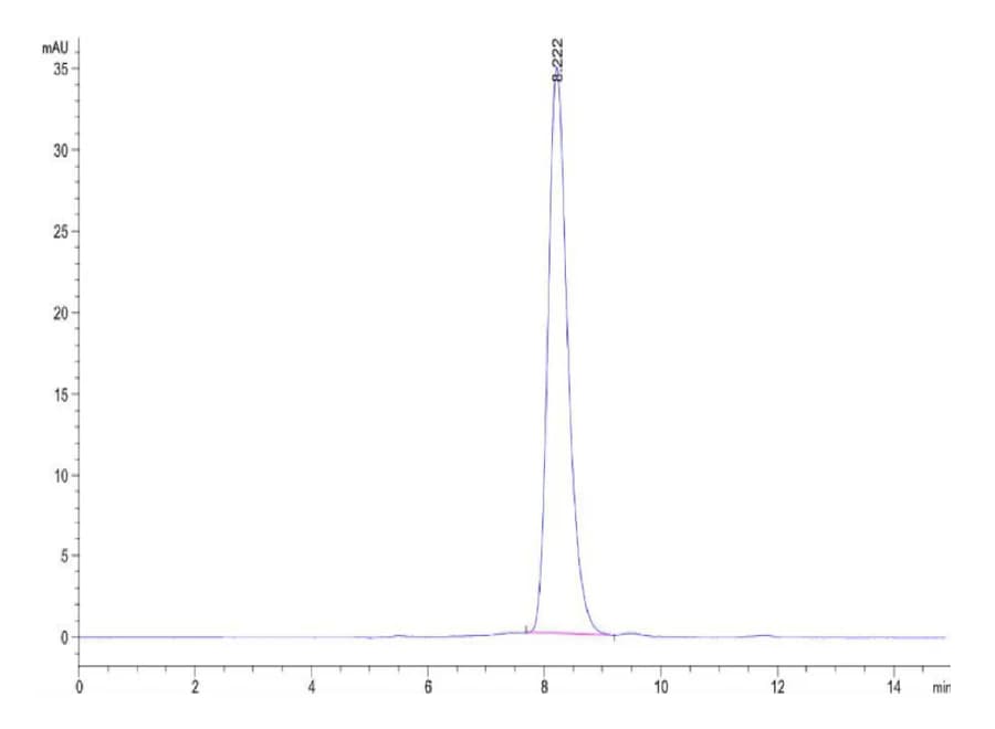 SEC-HPLC Data