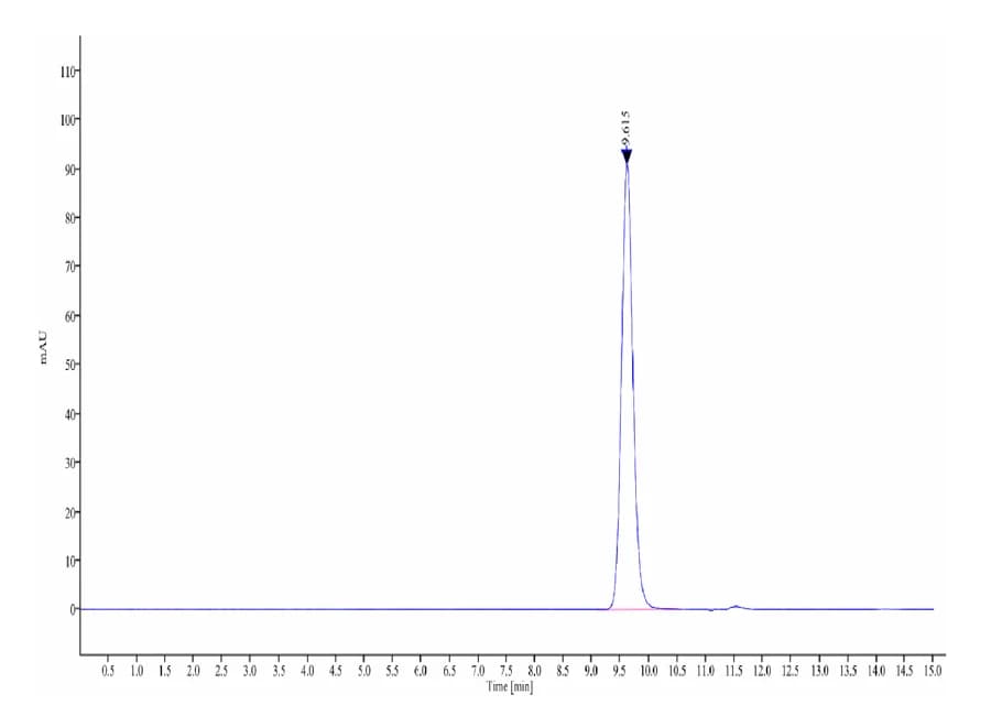 SEC-HPLC Data