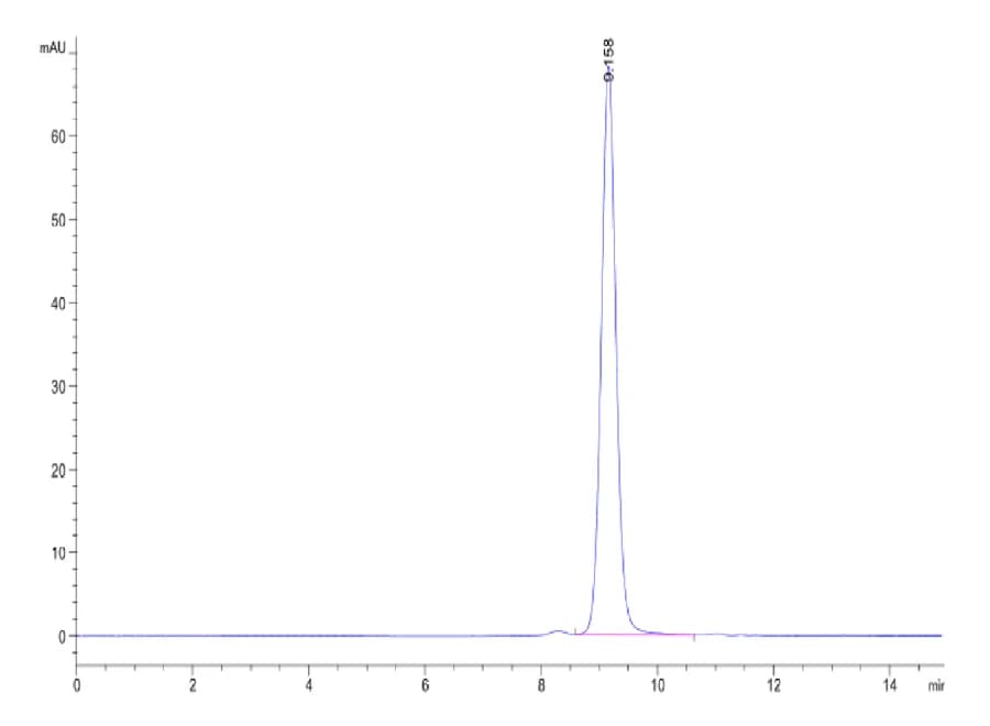 SEC-HPLC Data