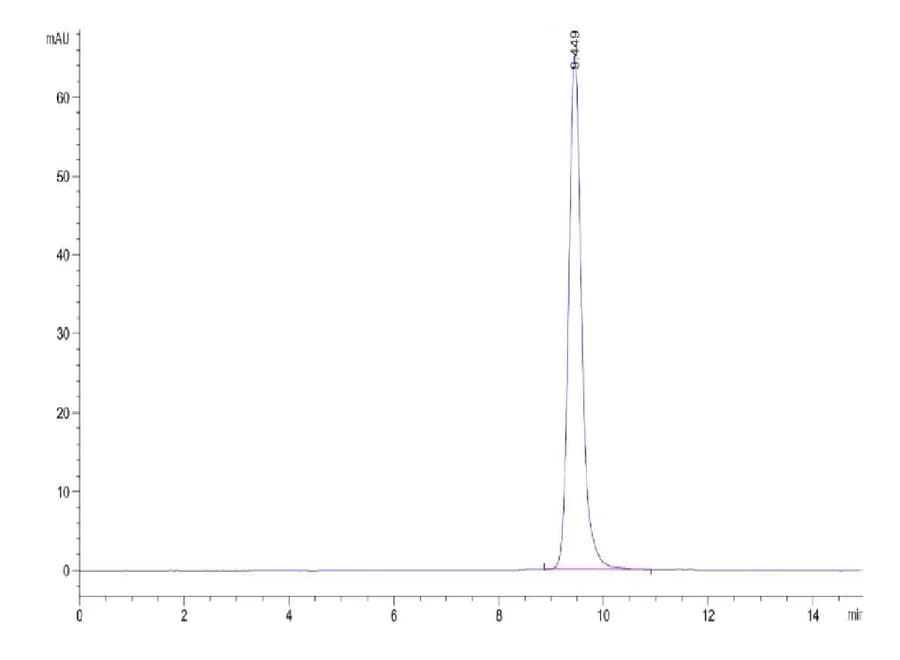 SEC-HPLC Data