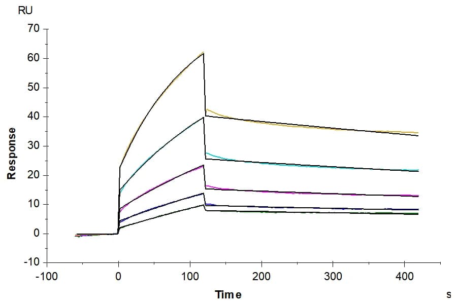SPR Data