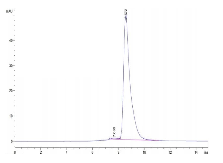 SEC-HPLC Data