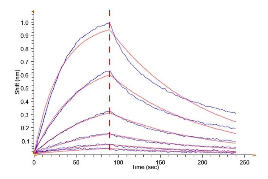 BLI Data