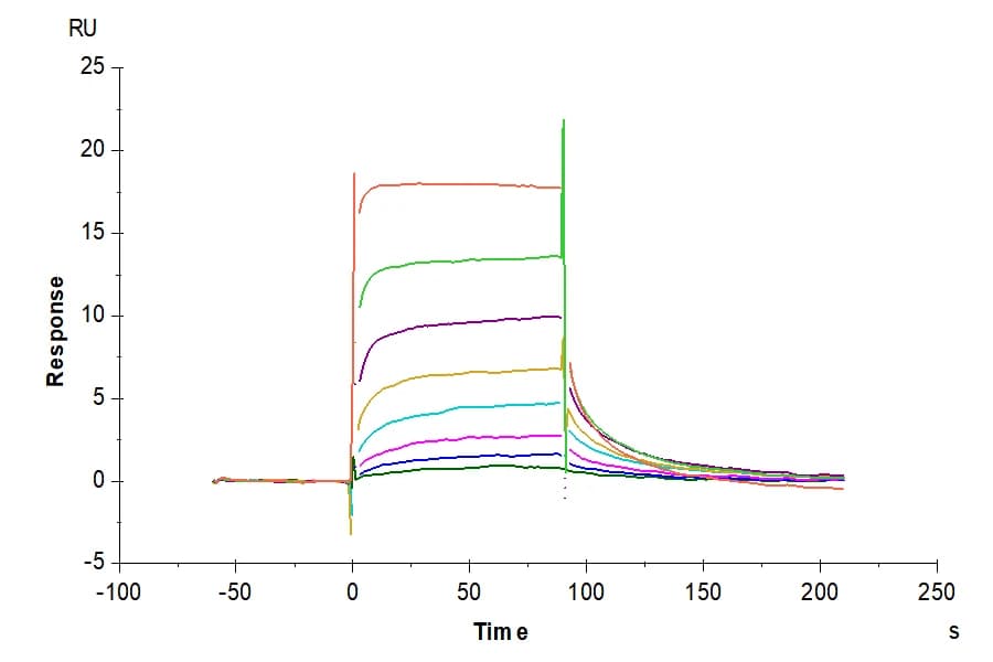 SPR Data