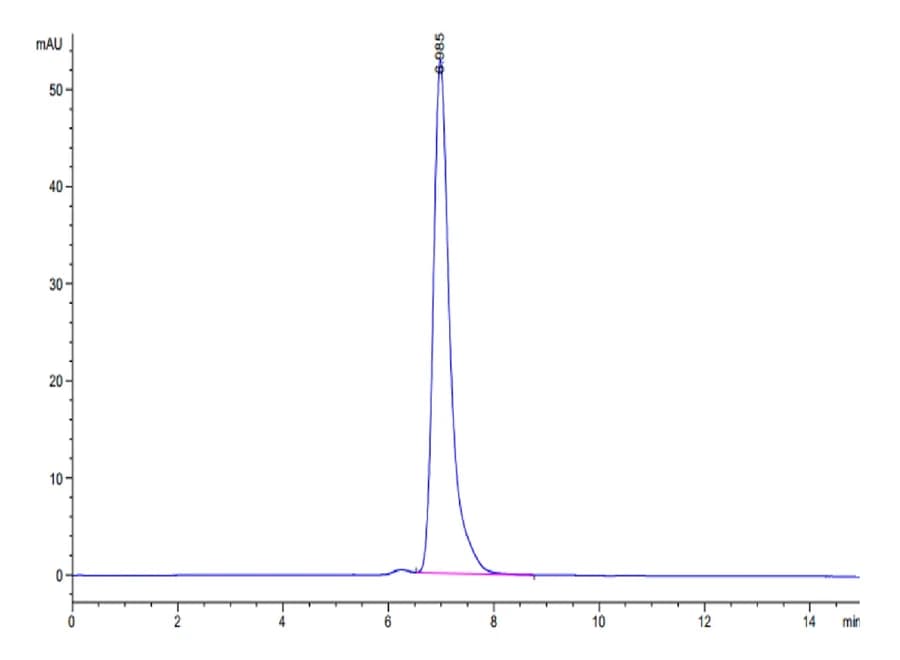 SEC-HPLC Data