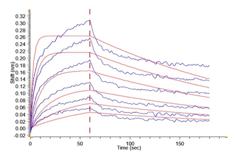BLI Data