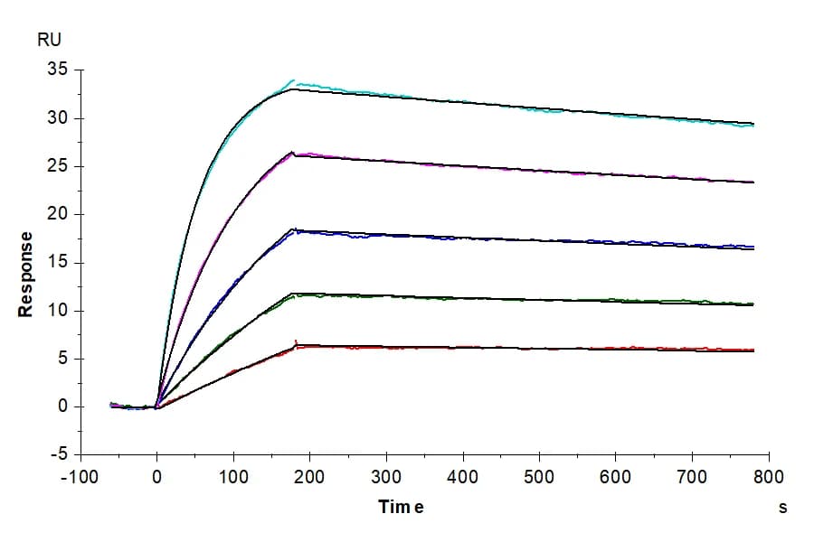SPR Data