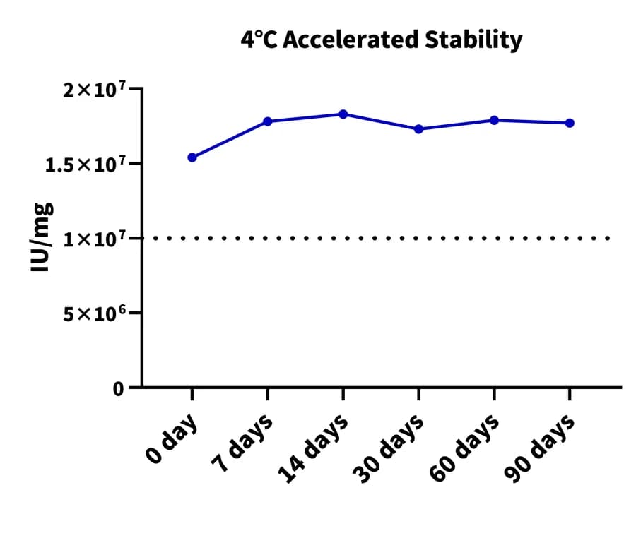 4°C Accelerated Stability