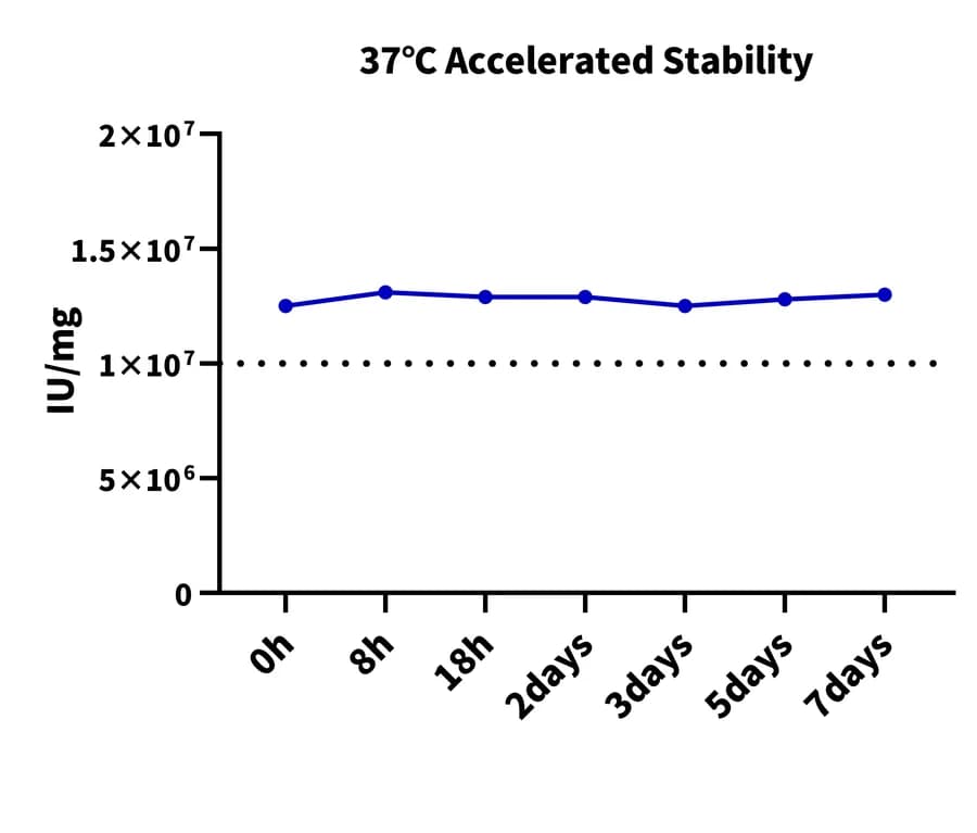 37°C Accelerated Stability