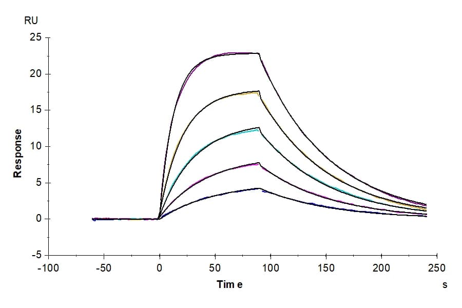 SPR Data