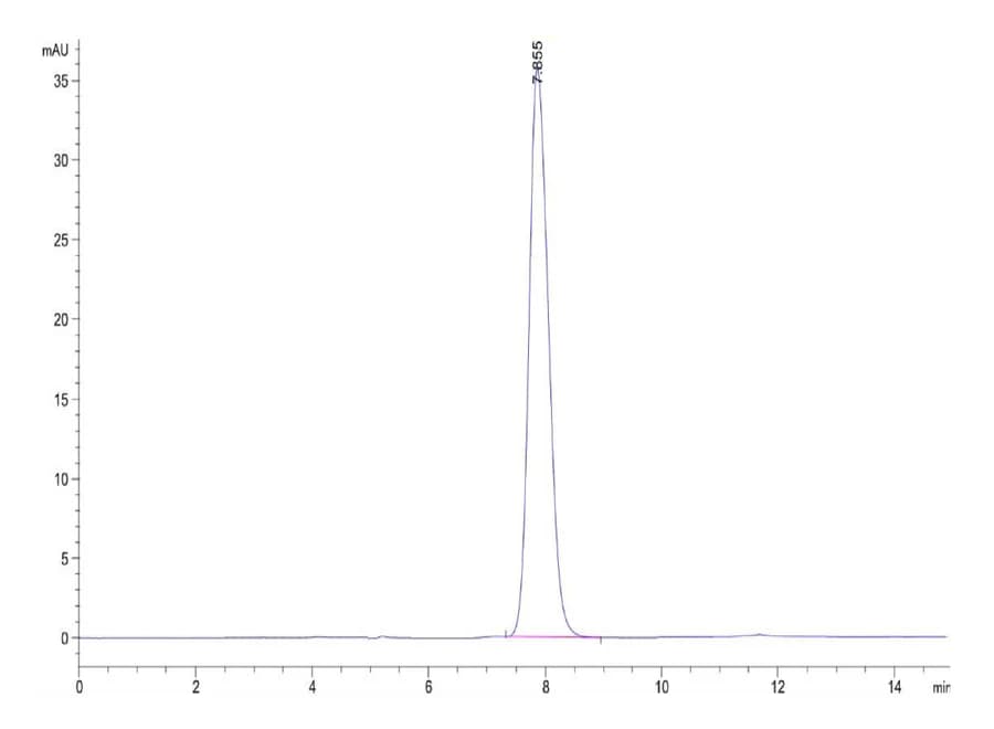 SEC-HPLC Data