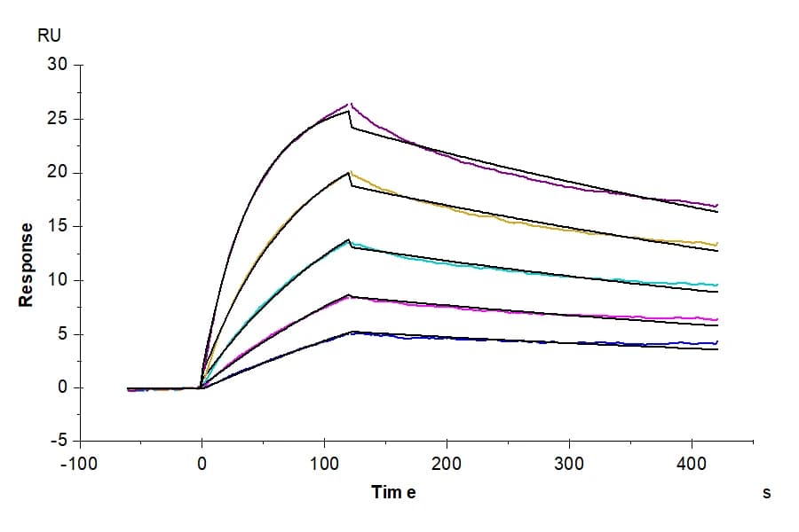 SPR Data