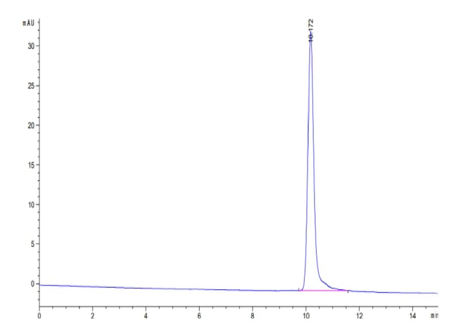 SEC-HPLC Data