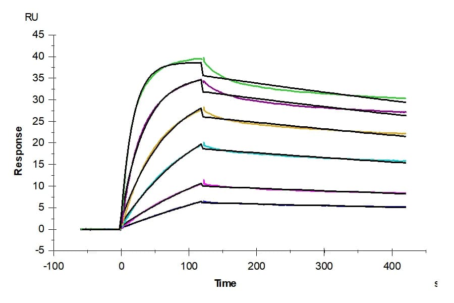 SPR Data