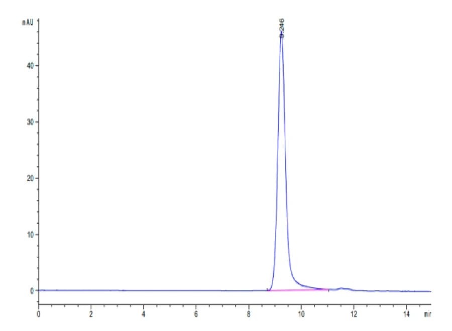 SEC-HPLC Data