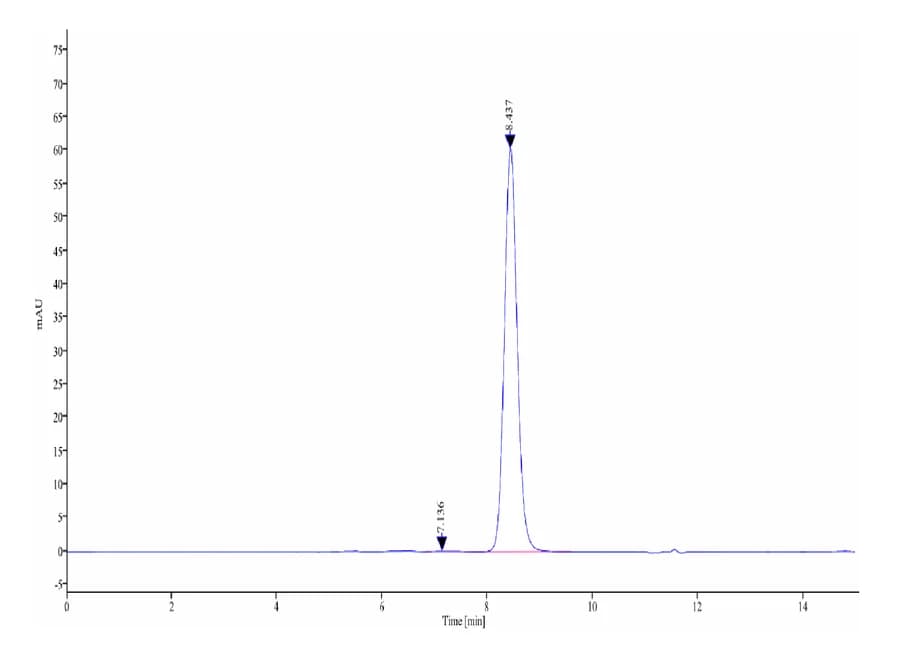SEC-HPLC Data
