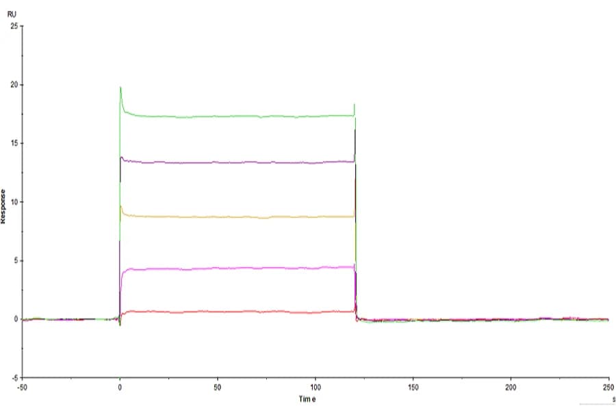 SPR Data