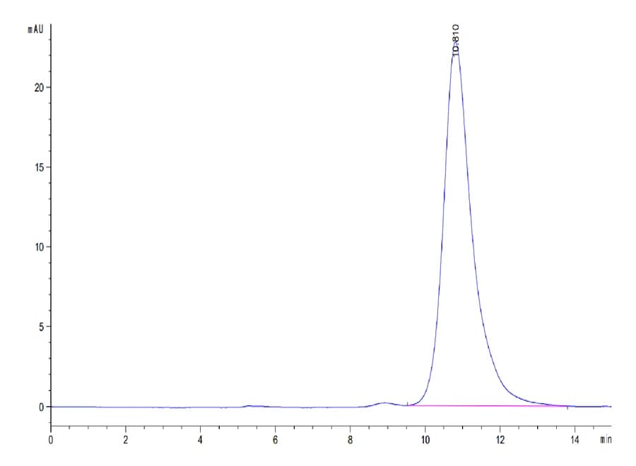 SEC-HPLC Data