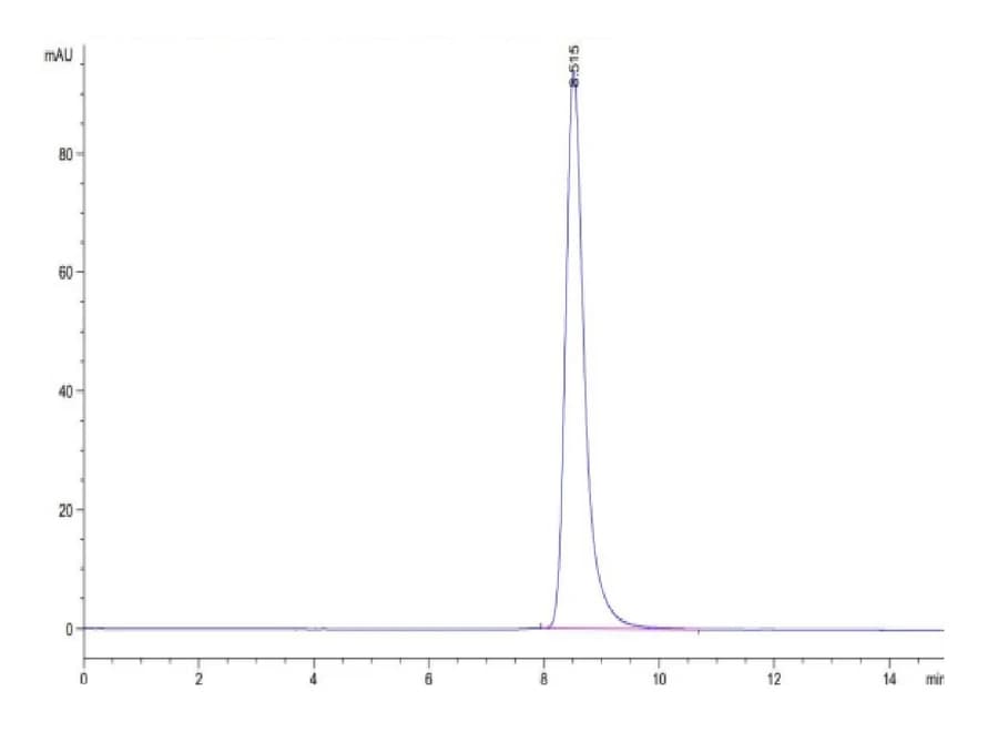SEC-HPLC Data