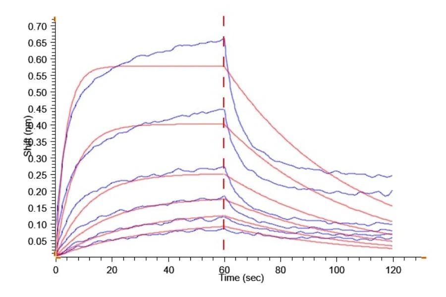 BLI Data