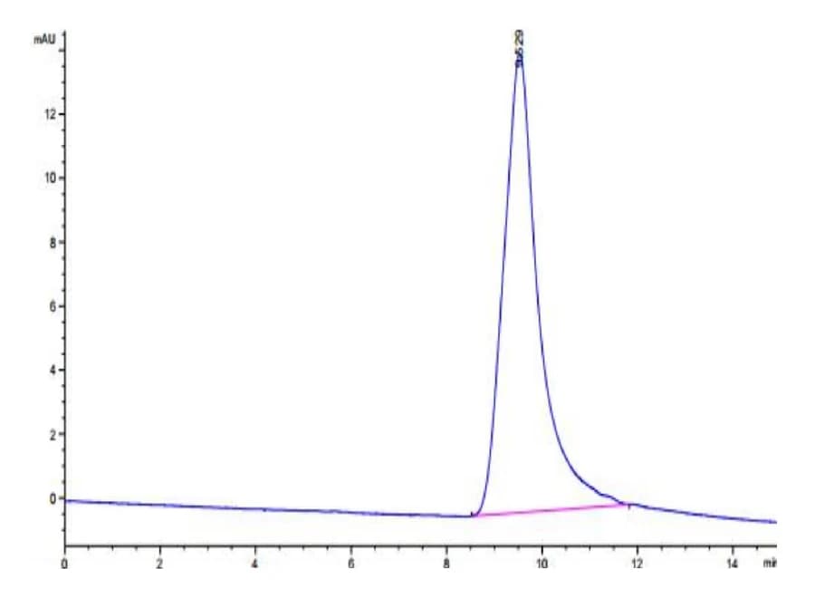 SEC-HPLC Data
