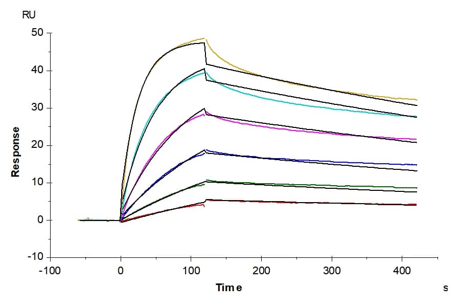 SPR Data