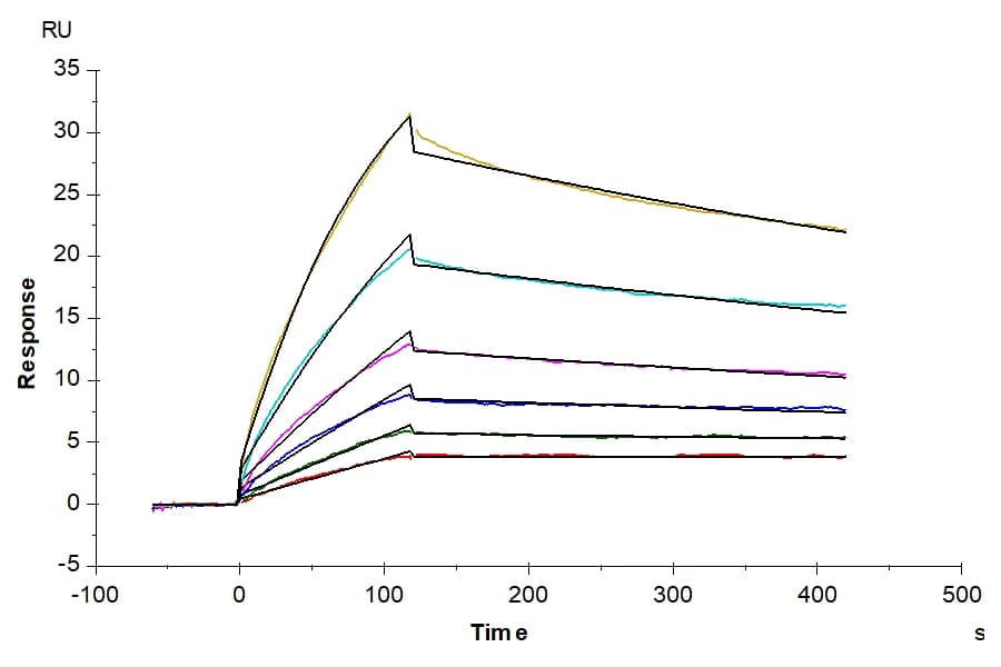 SPR Data