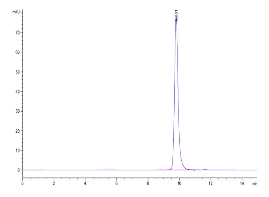 SEC-HPLC Data