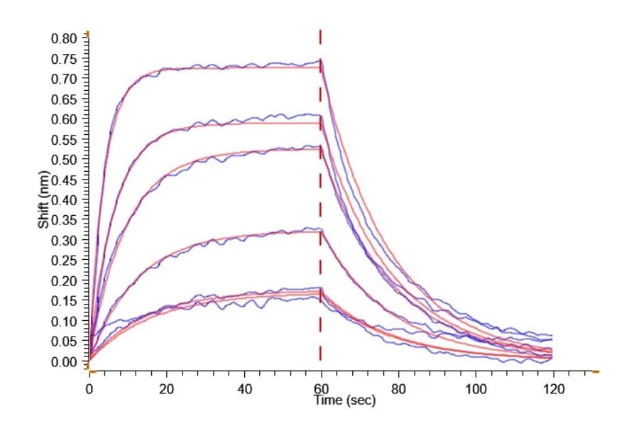 BLI Data
