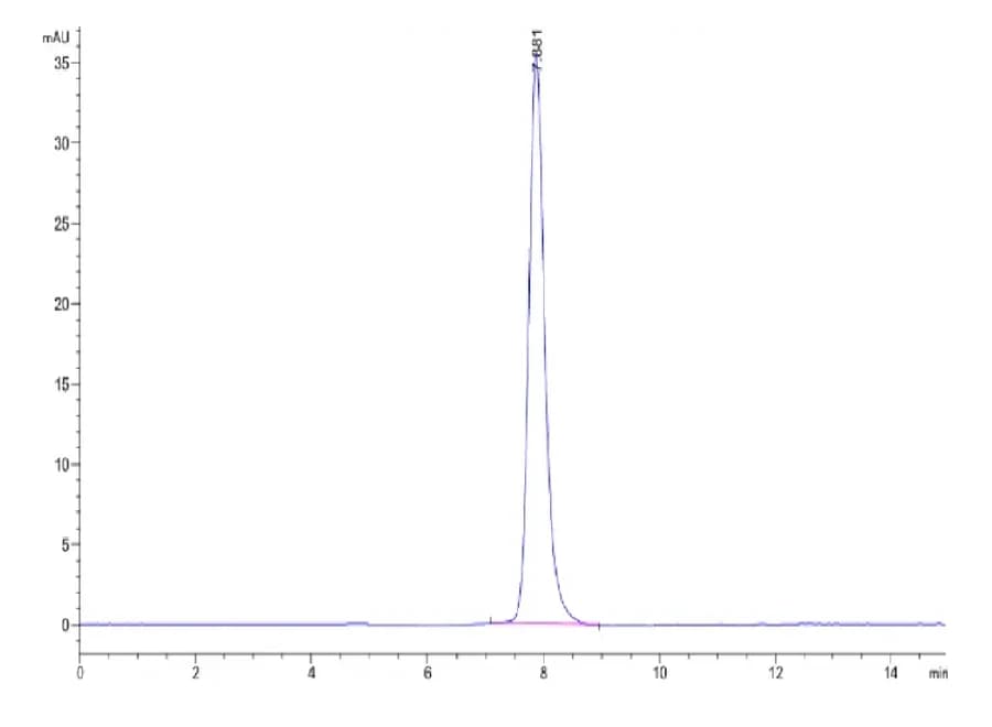 SEC-HPLC Data