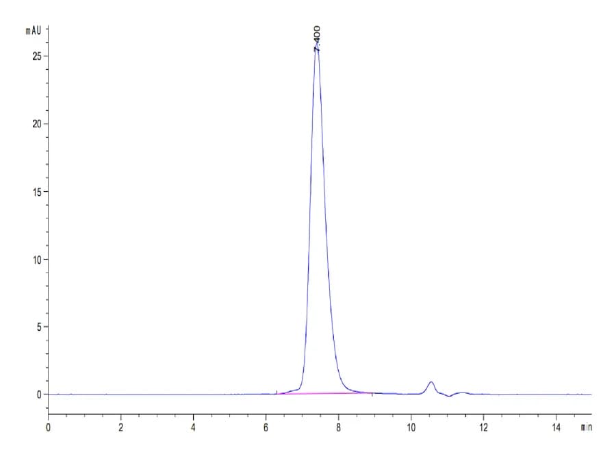 SEC-HPLC Data