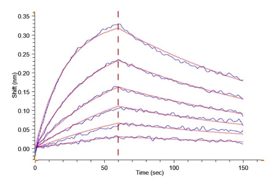 BLI Data