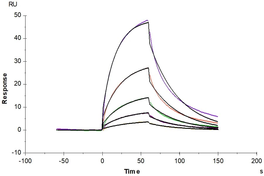 SPR Data