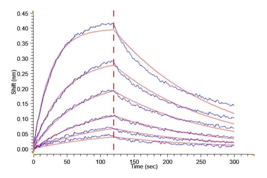 BLI Data