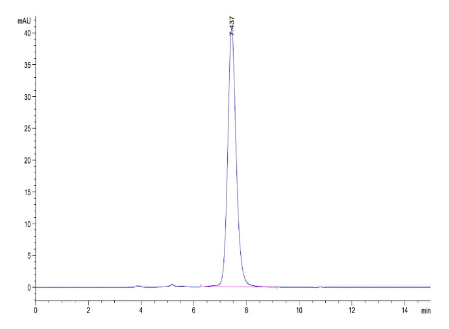 SEC-HPLC Data