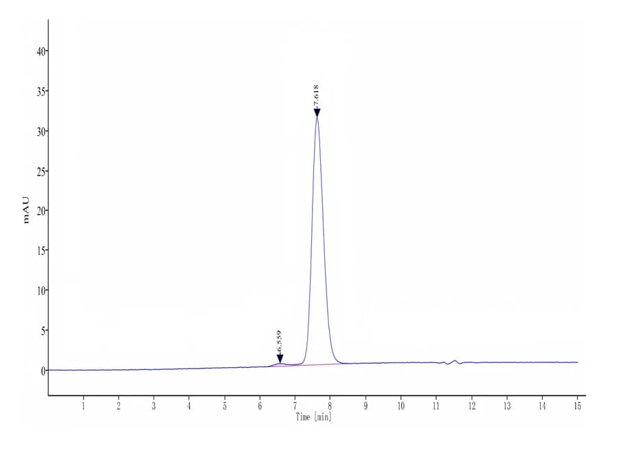SEC-HPLC Data