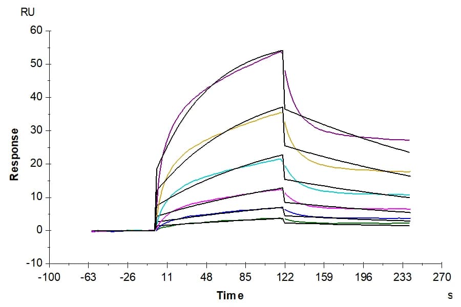 SPR Data