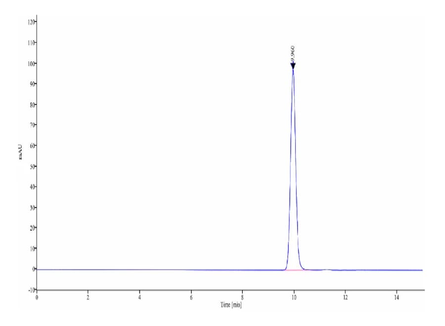 SEC-HPLC Data