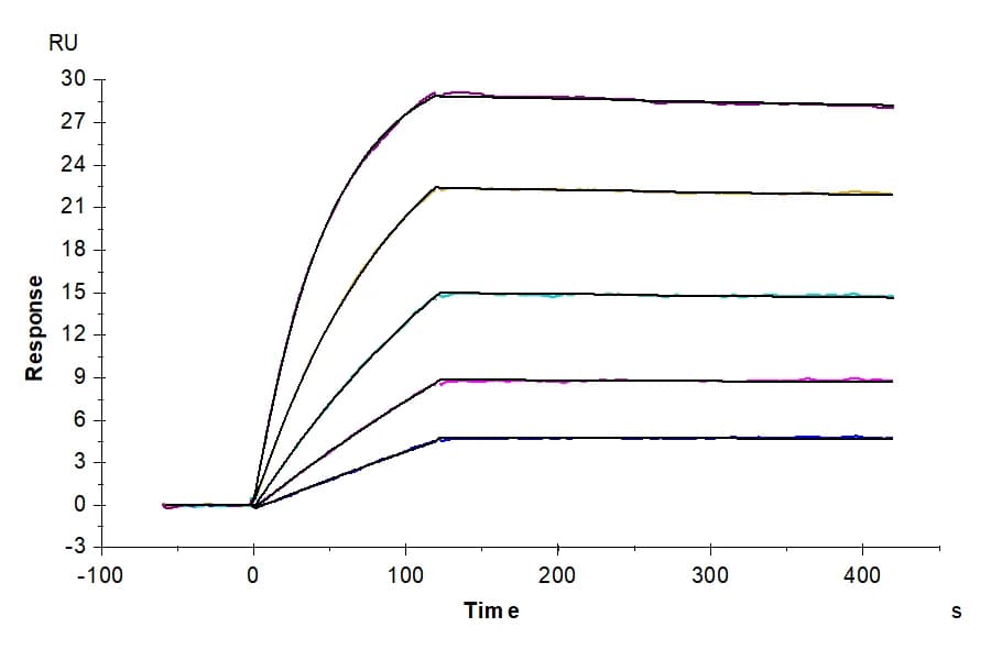 SPR Data
