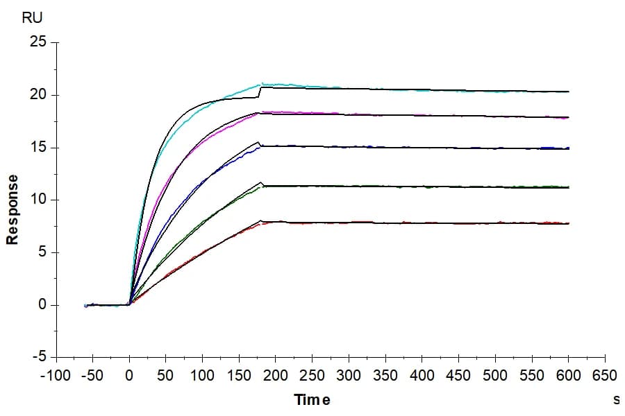 SPR Data