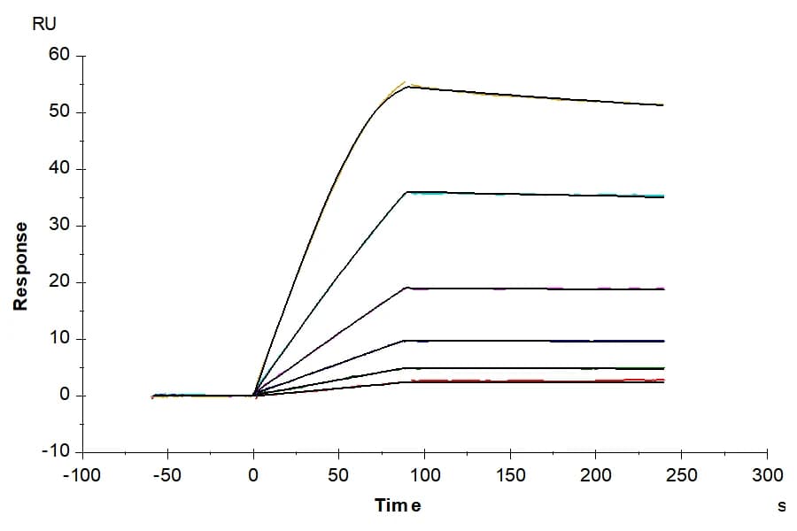 SPR Data