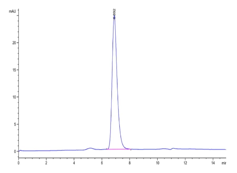 SEC-HPLC Data