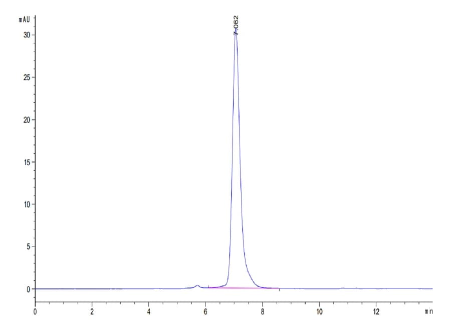 SEC-HPLC Data