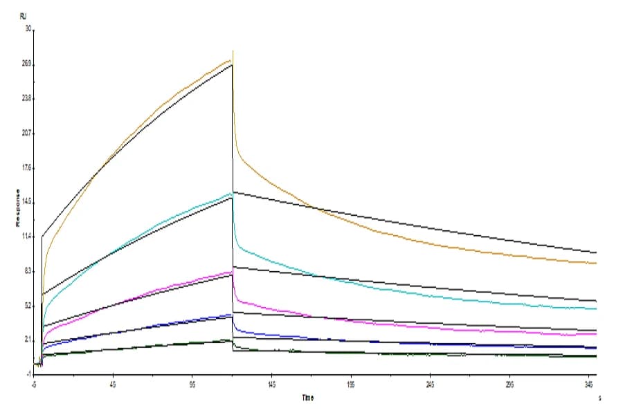 SPR Data