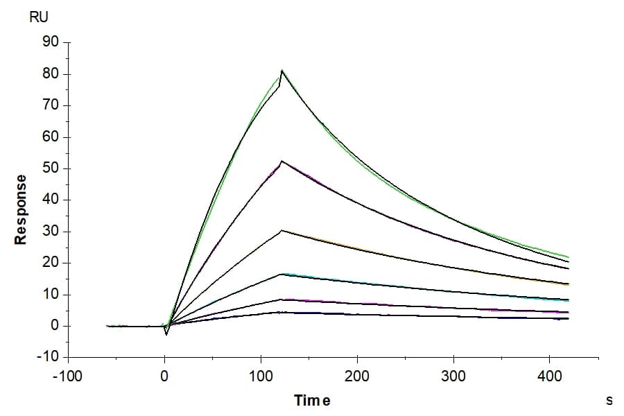 SPR Data