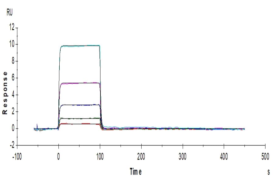 SPR Data