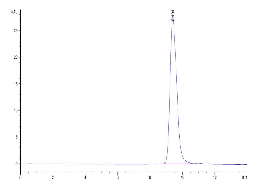 SEC-HPLC Data