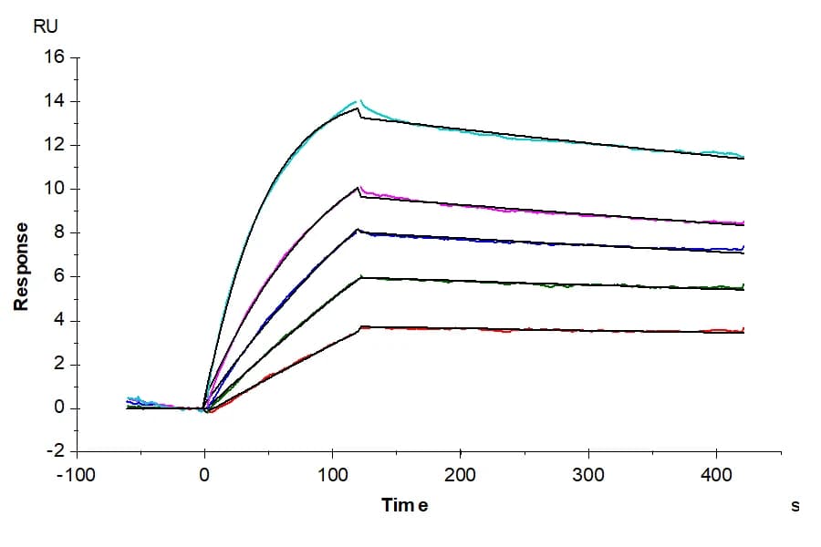 SPR Data